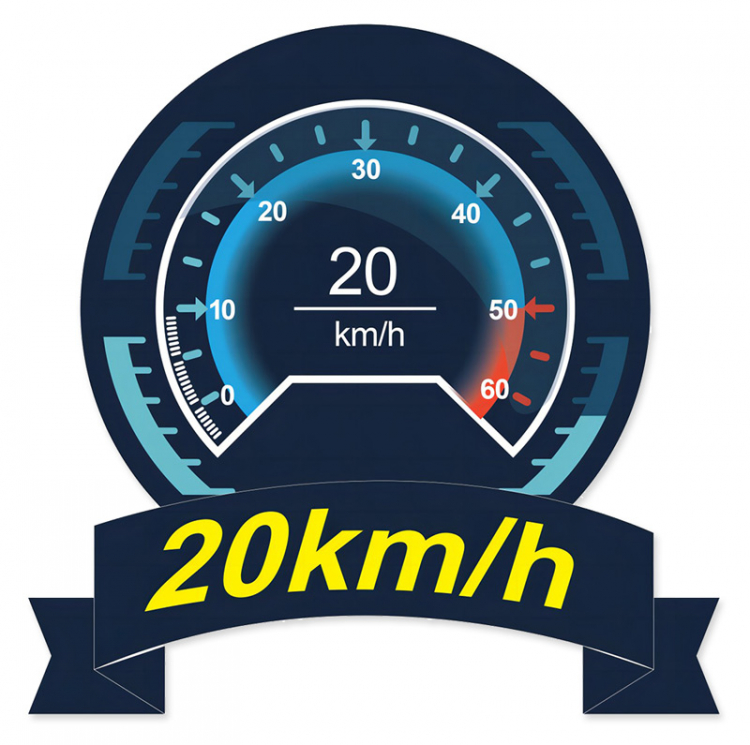 Joysway Magic Vee V6 RTR 2.4GHz FHSS 8106V6