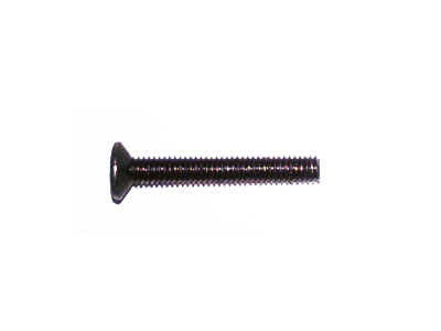 Amewi Flat head hexagon screw M2x16 DUNE Buggy 1:10 K949-87