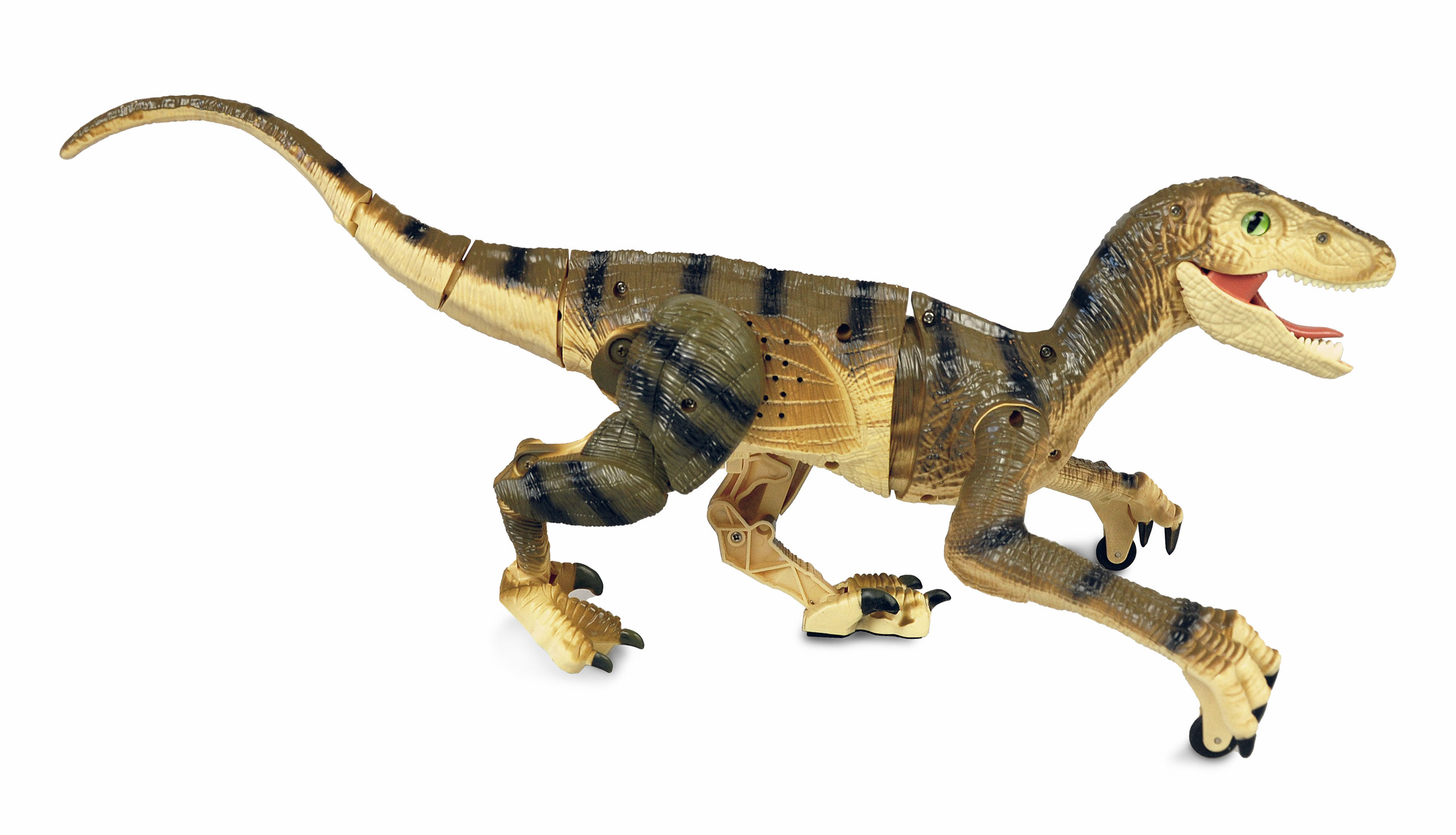 Amewi Velociraptor RC Dinosaurier 45cm, RTR braun 40008