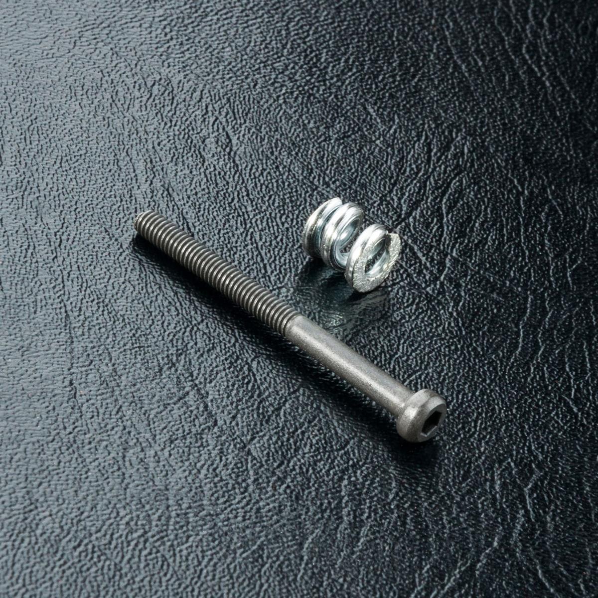 310032 Diffschraube mit Feder