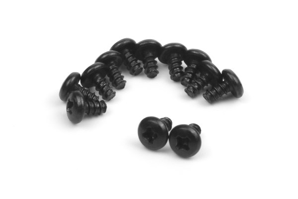 BLACKZON Pan Head Self Tapping Screws 2x4mm 540174