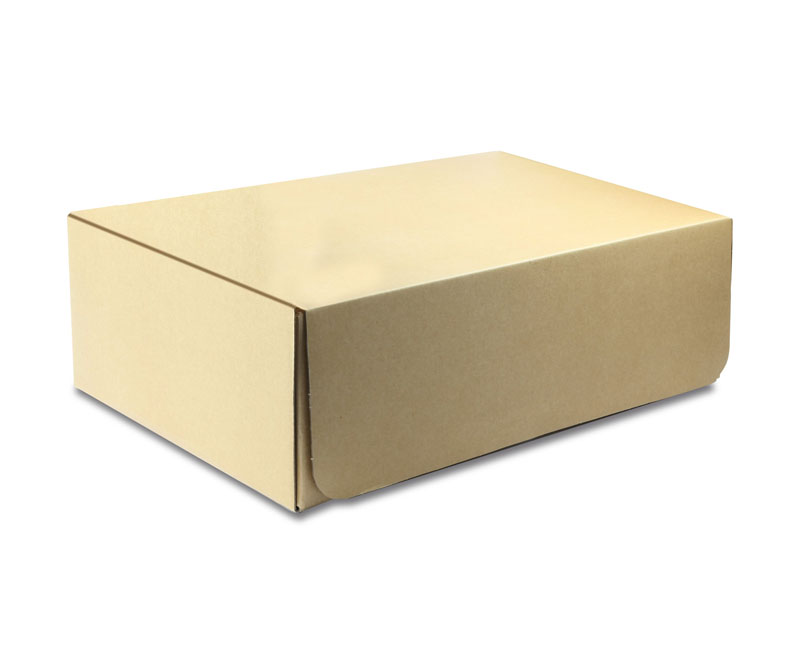 R14010-1 Papp-Austauschbox (für R14010)