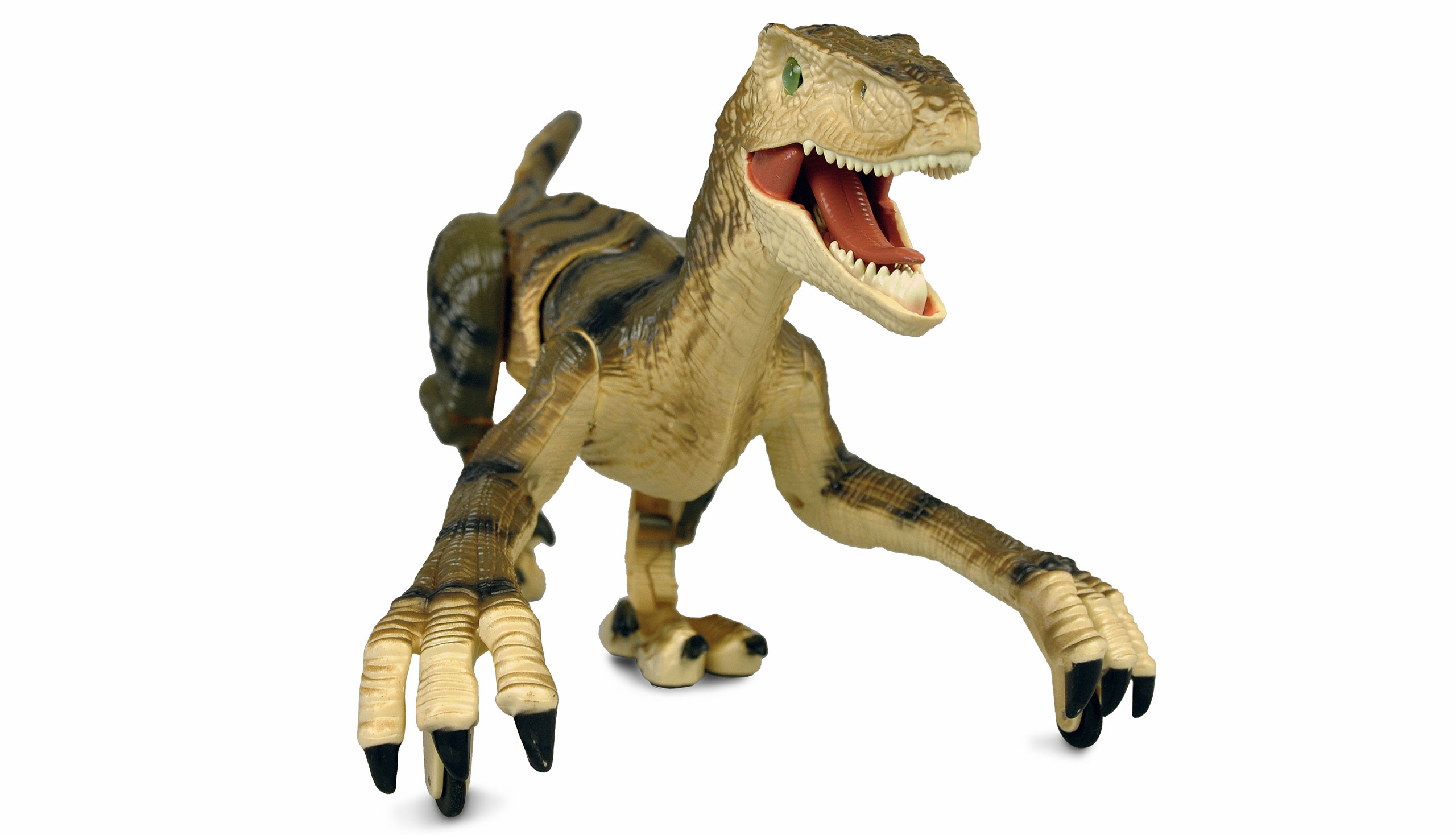 Amewi Velociraptor RC Dinosaurier 45cm, RTR braun 40008