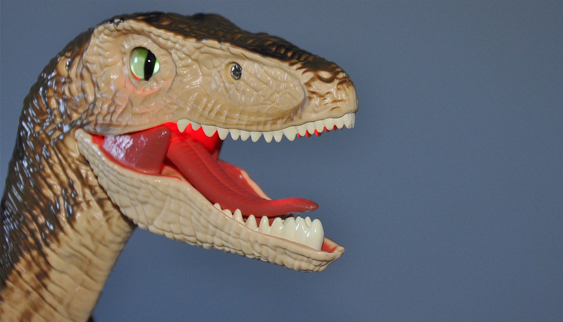 Amewi Velociraptor RC Dinosaurier 45cm, RTR braun 40008