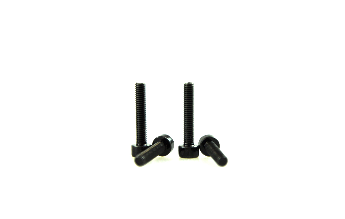 Amewi Column Screw 3*16 Planet Pro 60112 60112
