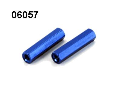 Amewi 06057 Tail Wing Post Buggy Leopard 6057