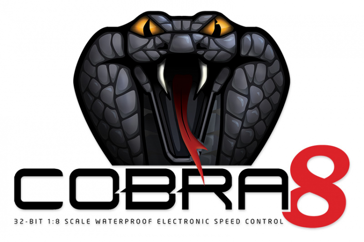 Castle Cobra 8 2-6S ESC WP 1/8 Car 010-0172-00