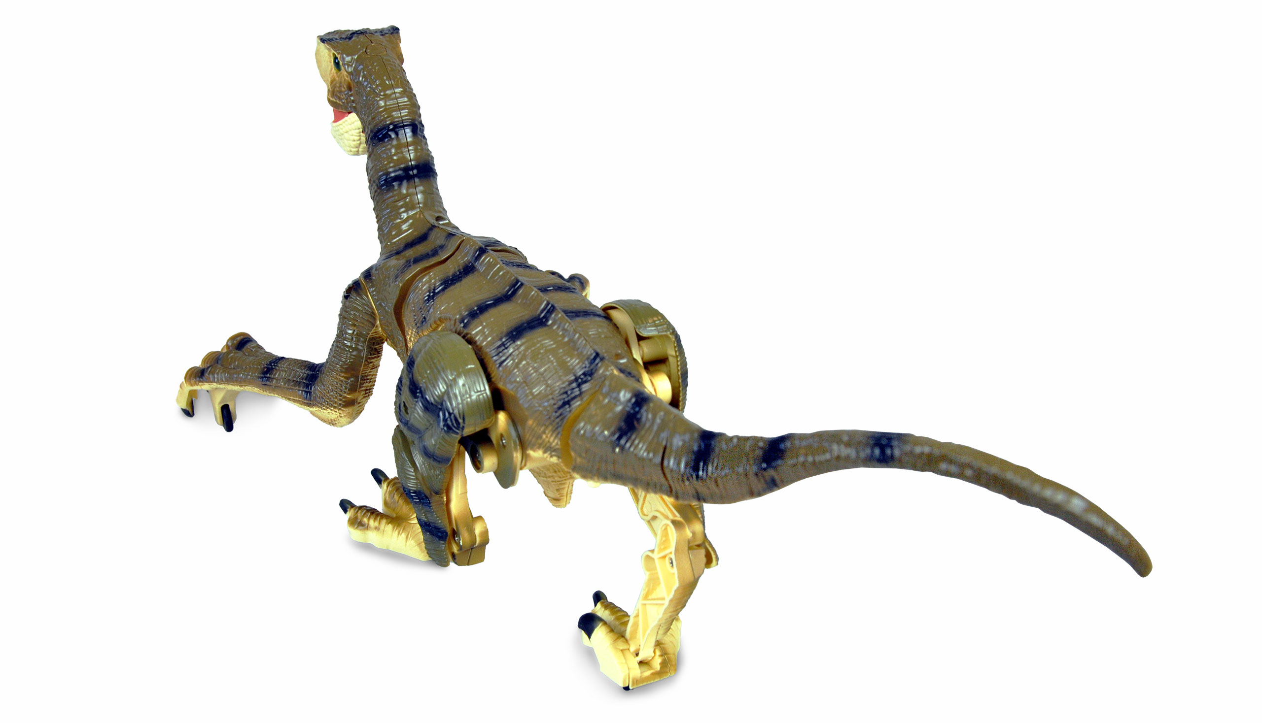 Amewi Velociraptor RC Dinosaurier 45cm, RTR braun 40008
