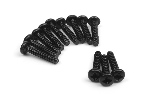 BLACKZON Pan Head Self Tapping Screws 3x15mm (12pcs) 540156