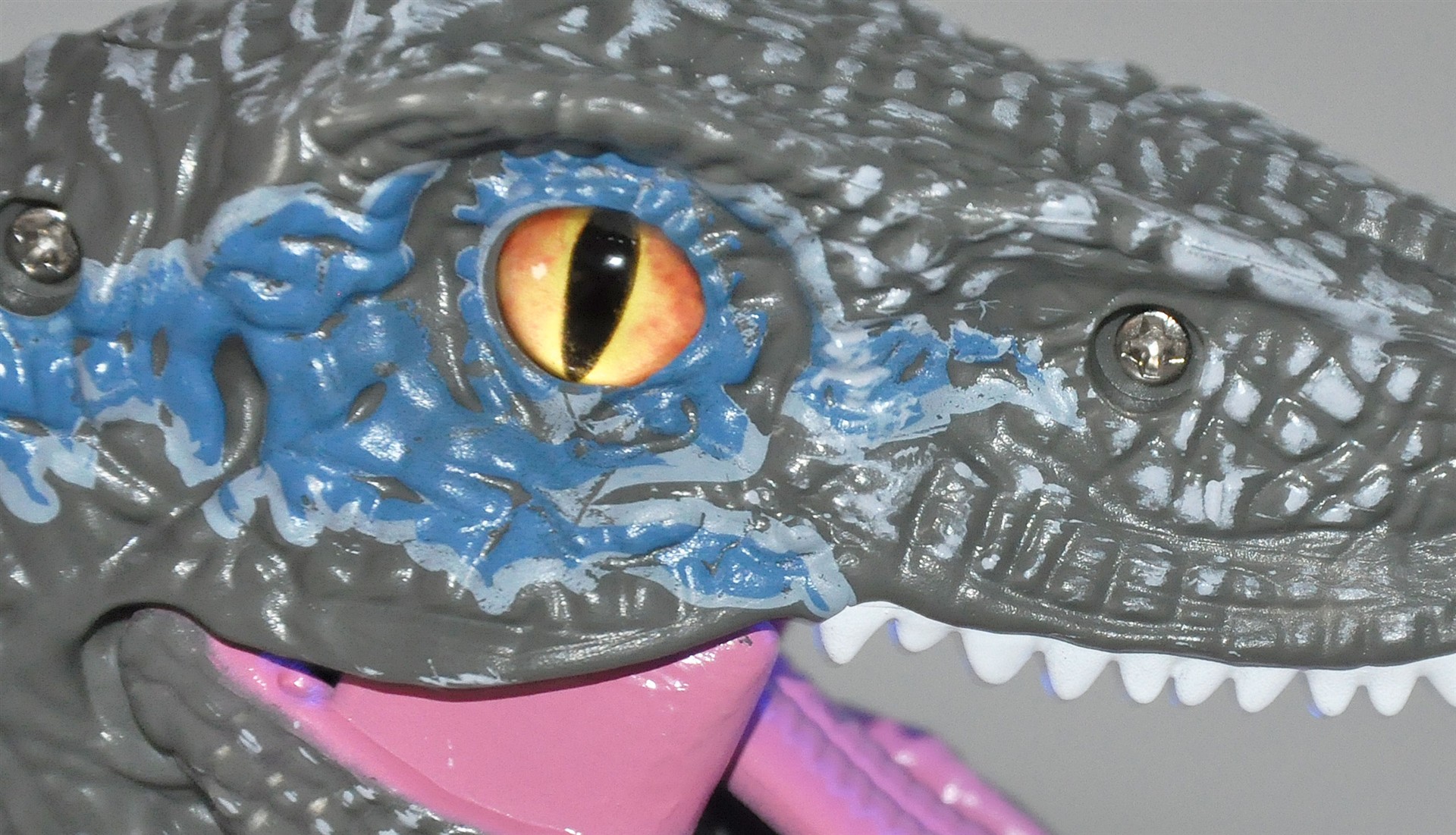 Amewi Velociraptor RC Dinosaurier 45cm, RTR grau 40009