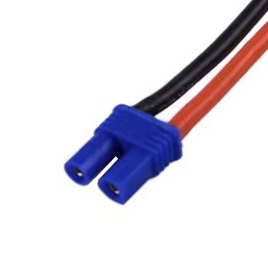 EC2 Stecker