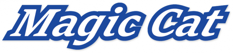 Joysway Magic Cat V6 RTR 2.4GHz FHSS 8108V6