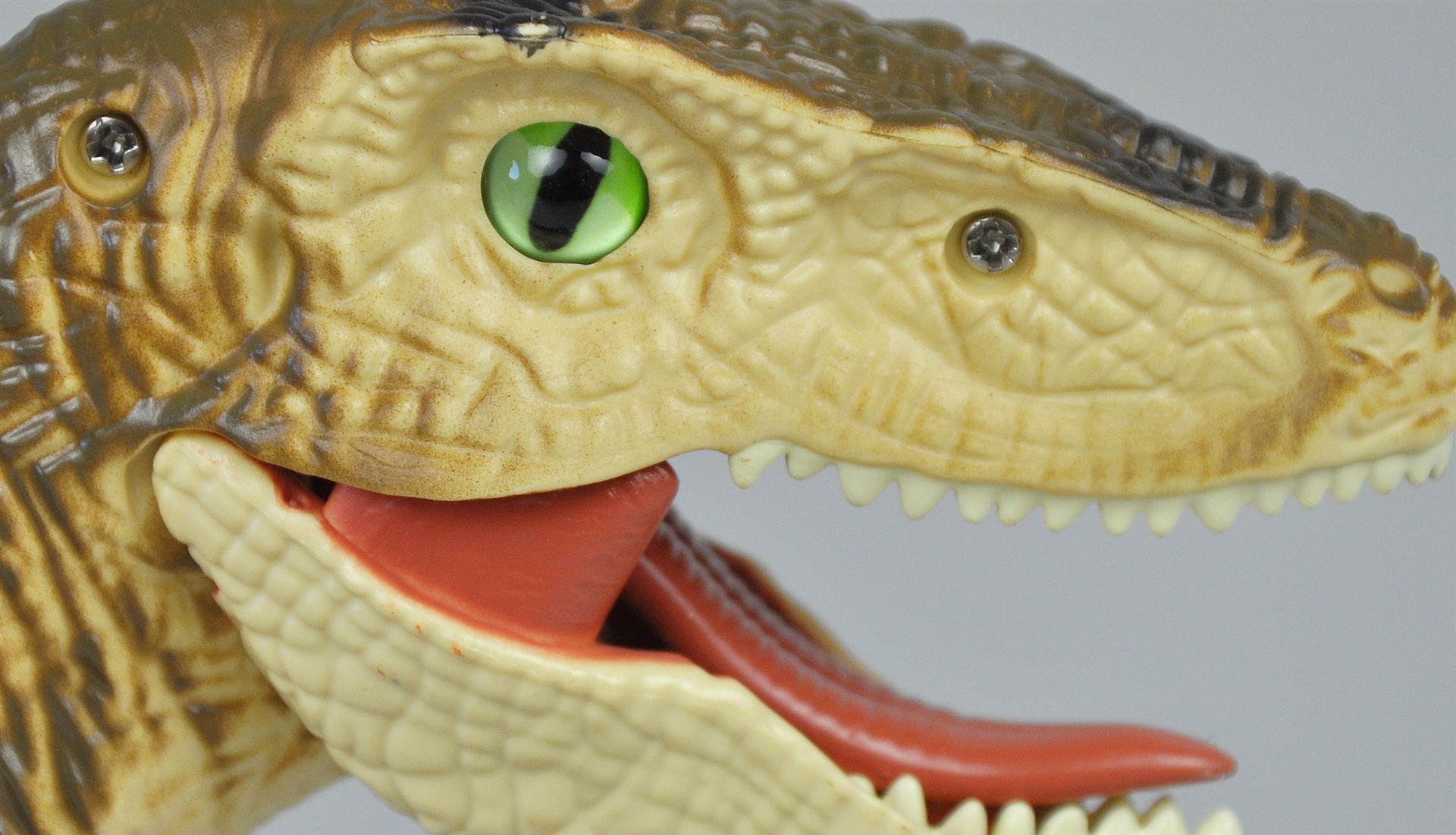Amewi Velociraptor RC Dinosaurier 45cm, RTR braun 40008