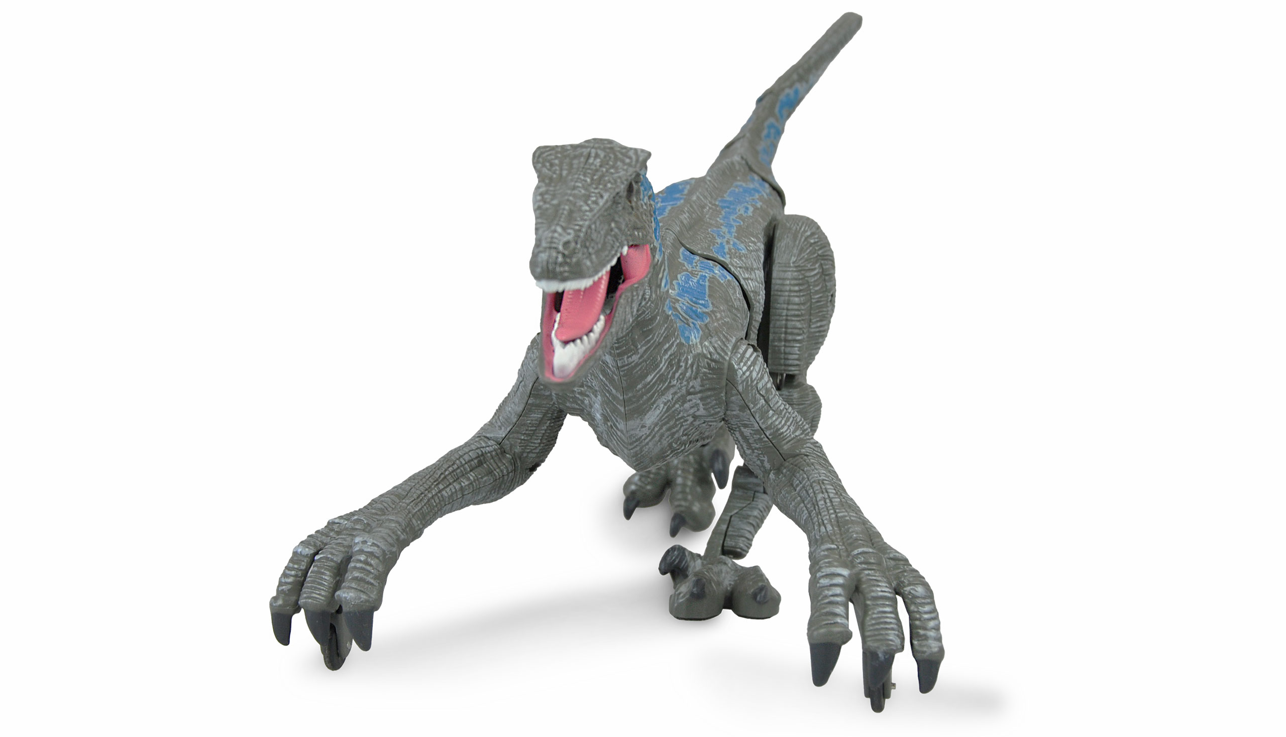 Amewi Velociraptor RC Dinosaurier 45cm, RTR grau 40009