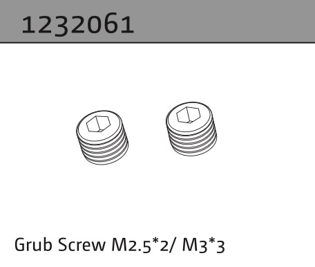 Absima Madenschraube M2.5*2/M3*3 (2) 1232061