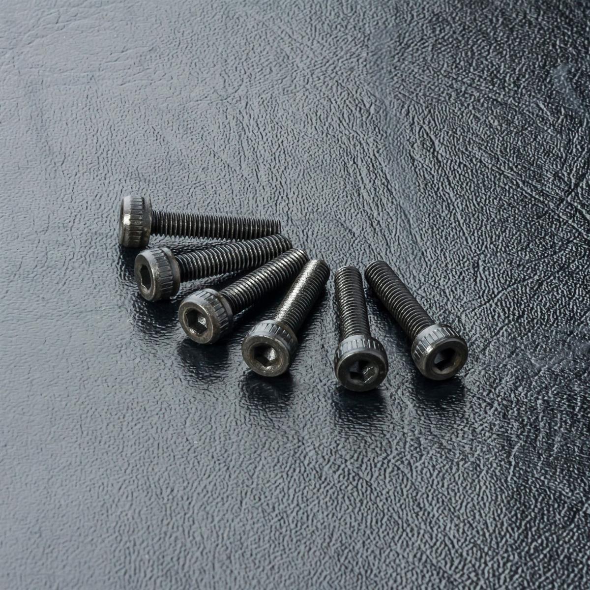 110108 Cap screw M3X14 (6)